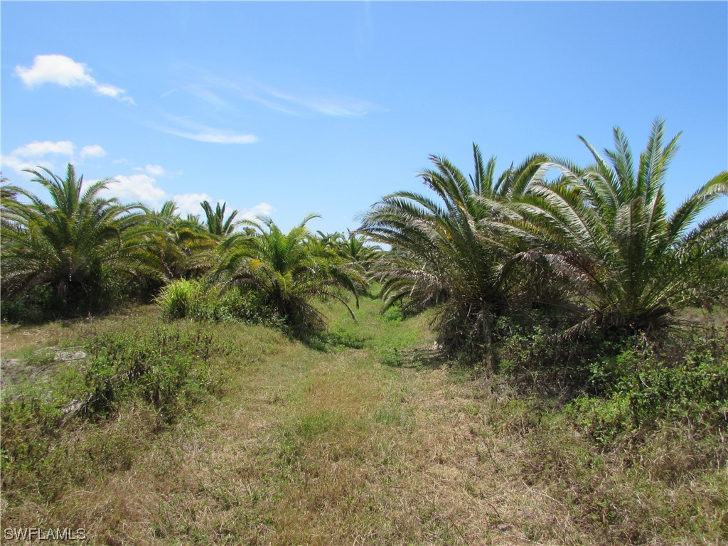 13350 Stringfellow Road Bokeelia FL 33922 223023098 image18