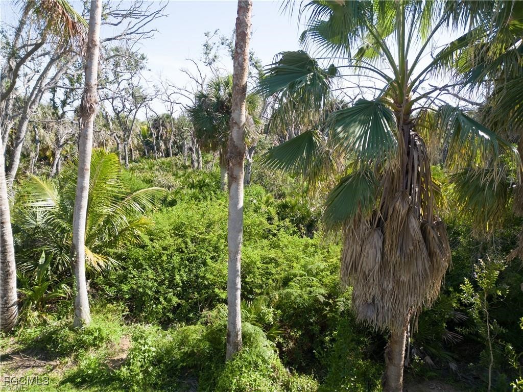 13371 Almond Drive Fort Myers FL 33908 2025024823 image10