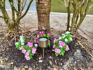 13371 Snook Circle Naples FL 34114 225077288 image7