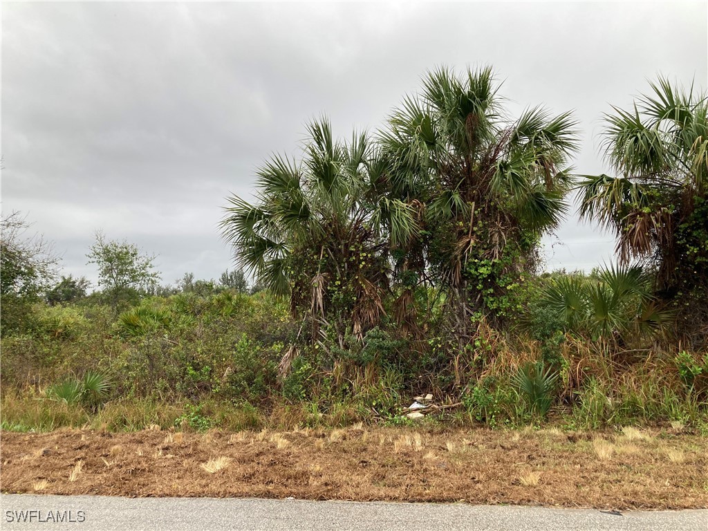 13403 High Springs Avenue Port Charlotte FL 33981 225020442 image5