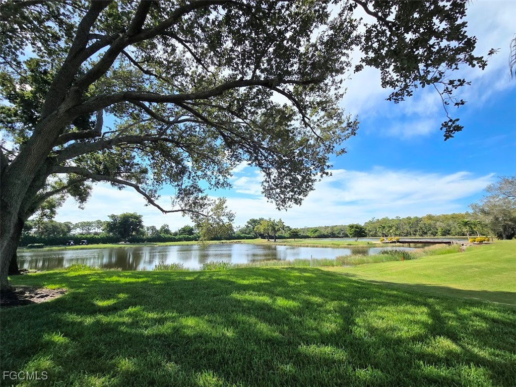13406 Tall Grass Court Fort Myers FL 33912 2025013324 image27