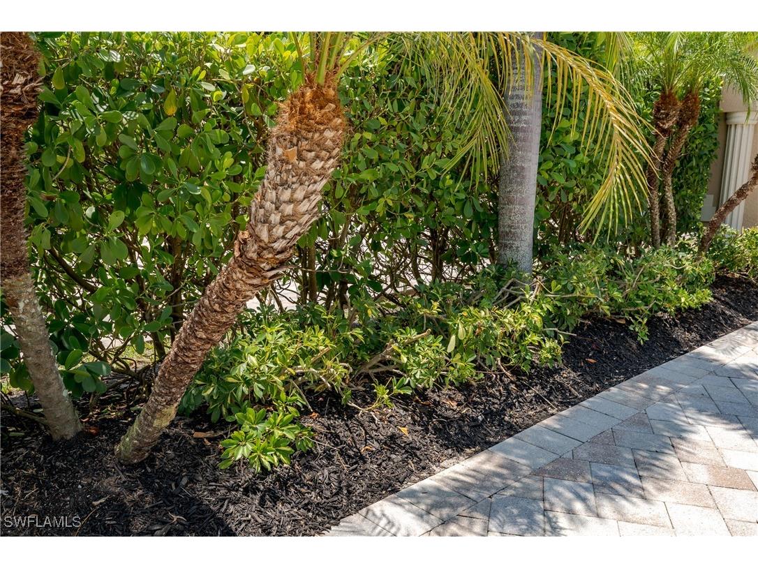 13419 Snook Circle Naples FL 34114 225049215 image16