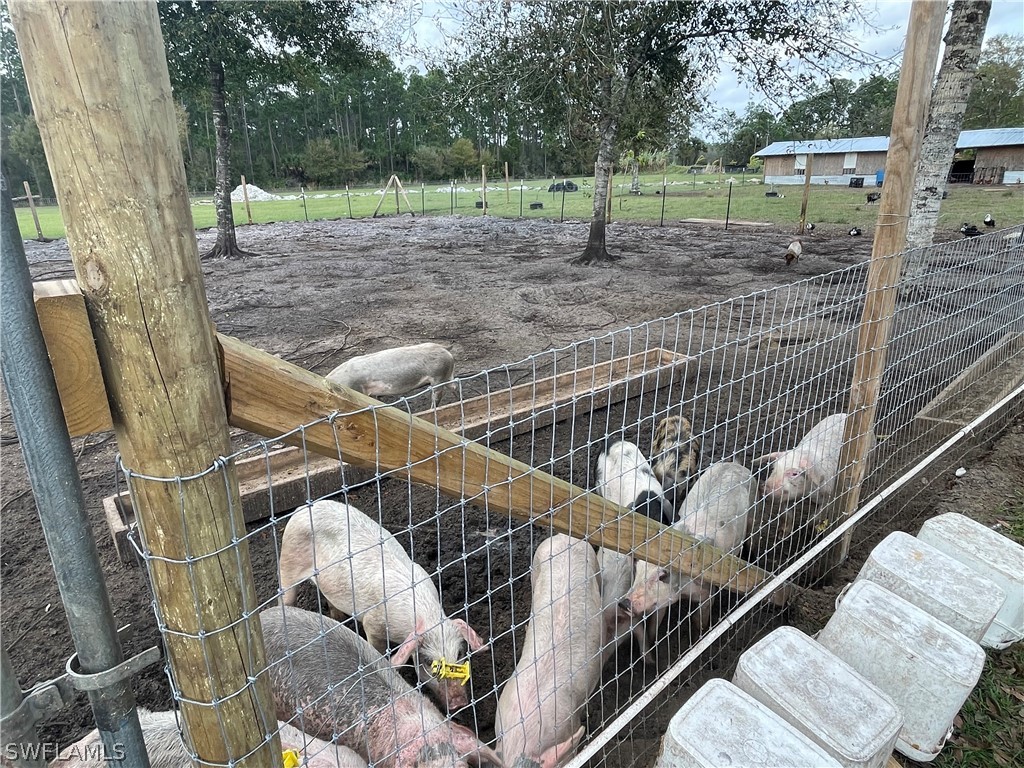 13434 Tangelo Ave La Deca Clewiston FL 33440 224027727 image18