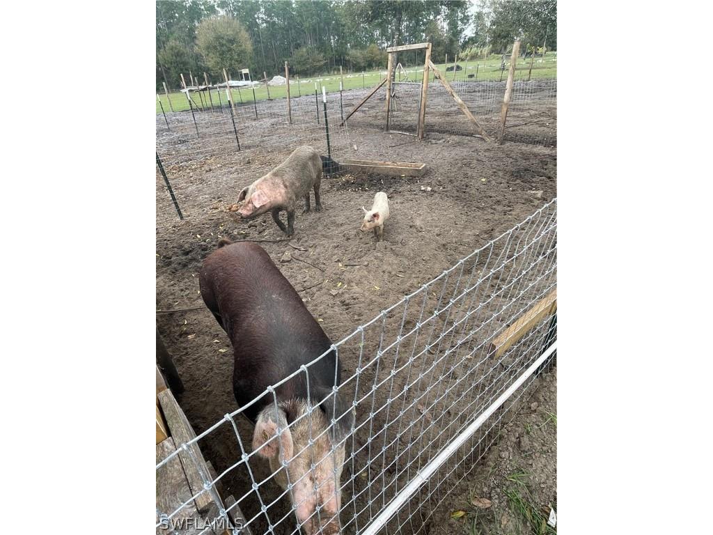 13434 Tangelo Ave La Deca Clewiston FL 33440 224027727 image19