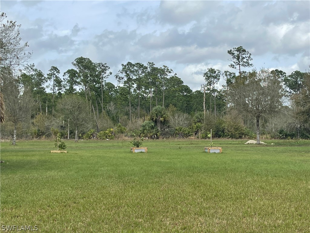 13434 Tangelo Ave La Deca Clewiston FL 33440 224027727 image28