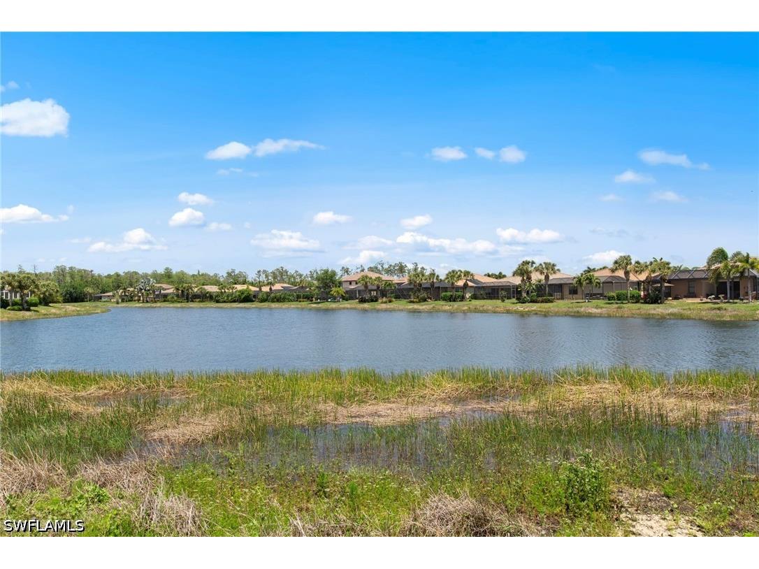 13500 Brown Bear Run Estero FL 33928 226015845 image42