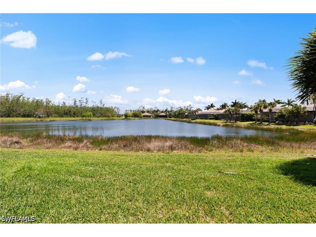 13501 Brown Bear Run Estero FL 33928 226016725 image36