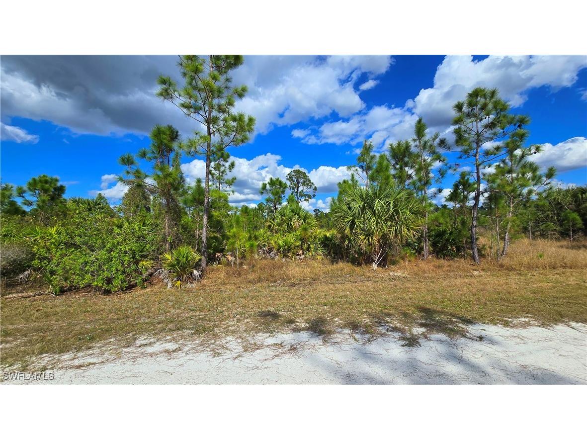 13524 Carousel Drive Punta Gorda FL 33955 225017894 image9