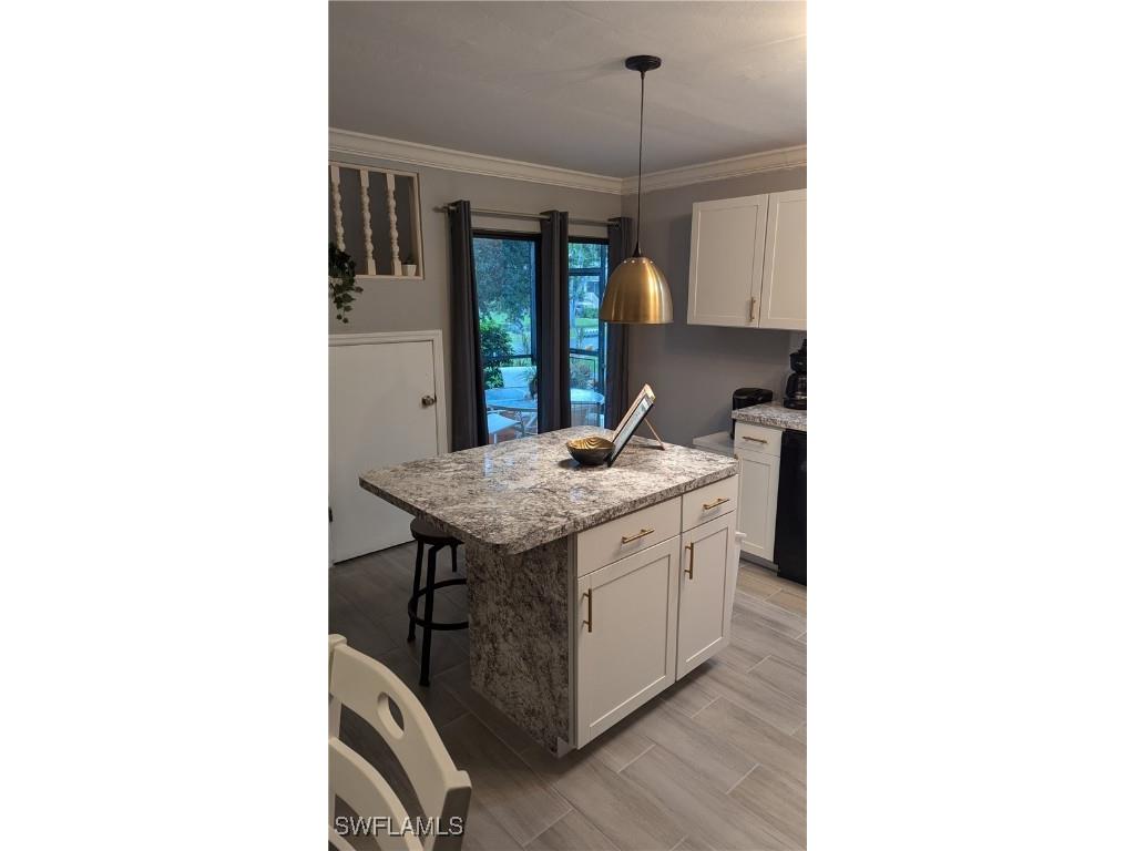 13527 Siesta Pines Court Fort Myers FL 33908 225066411 image16