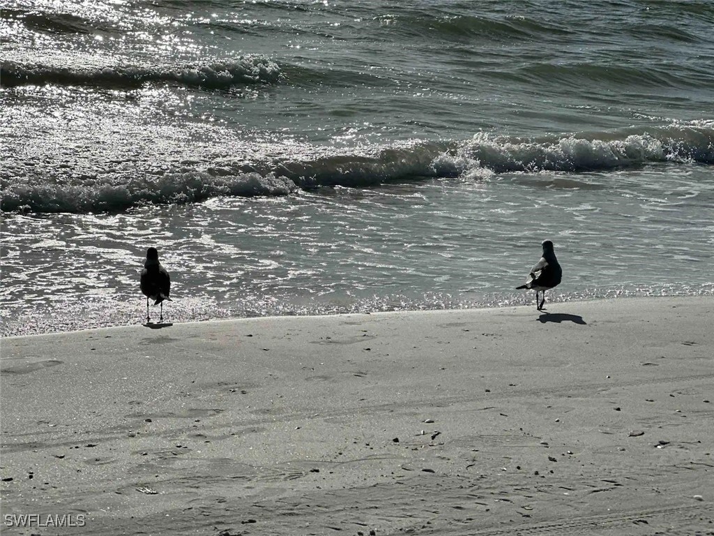 13527 Siesta Pines Court Fort Myers FL 33908 225066411 image27