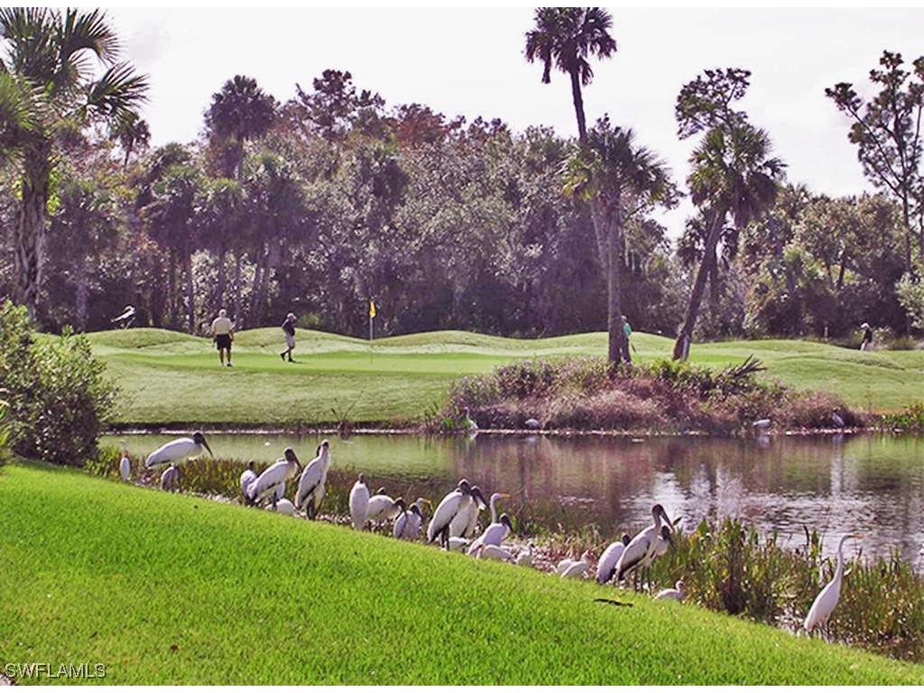 13530 Palmetto Grove Drive Fort Myers FL 33905 223019670 image1