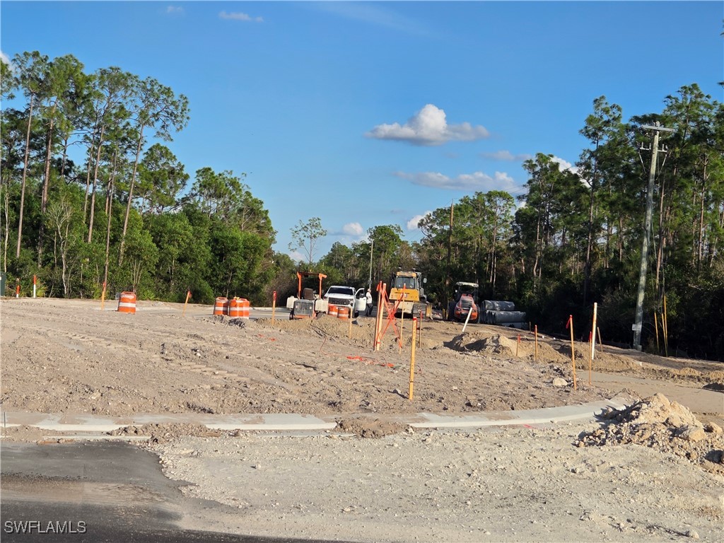 13541 E Terry Street Bonita Springs FL 34135 226004947 image1