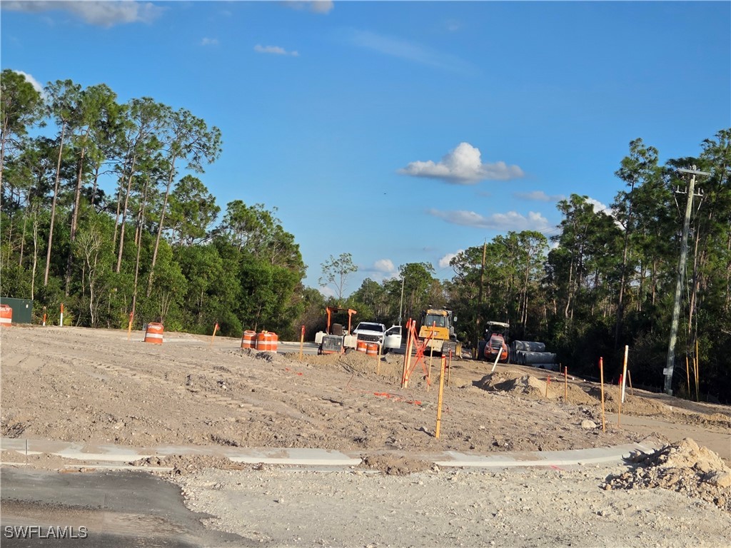 13541 E Terry Street Bonita Springs FL 34135 226004947 image2