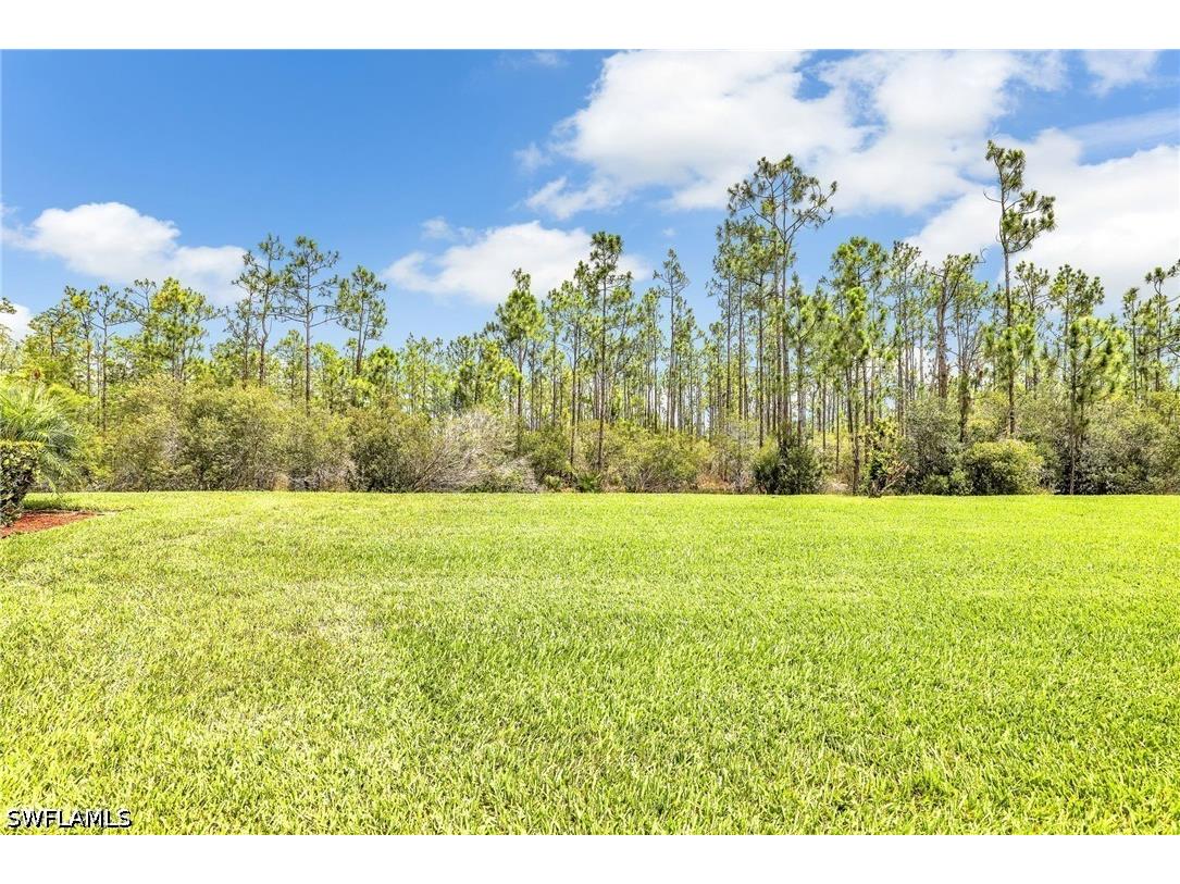 13546 Messino Court Estero FL 33928 226009075 image33