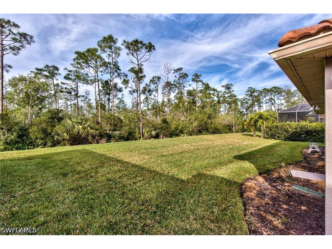 13584 Troia Drive Estero FL 33928 226019158 image29