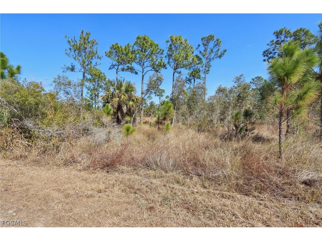 13588 Carousel Drive Punta Gorda FL 33955 2026007319 image5