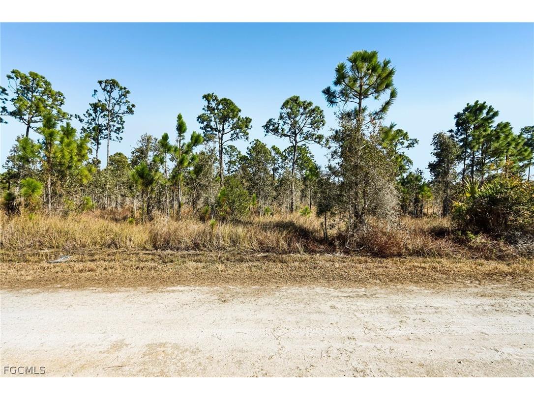 13592 Carousel Drive Punta Gorda FL 33955 2026007348 image1