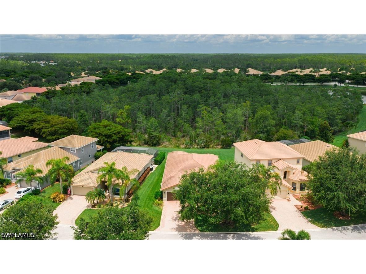 13599 Troia Drive Estero FL 33928 226023760 image39