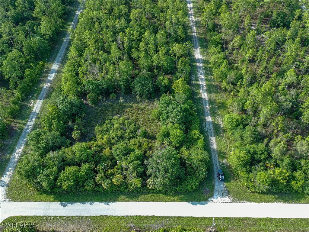 136 Natick Avenue S Lehigh Acres FL 33974 225053679 image2