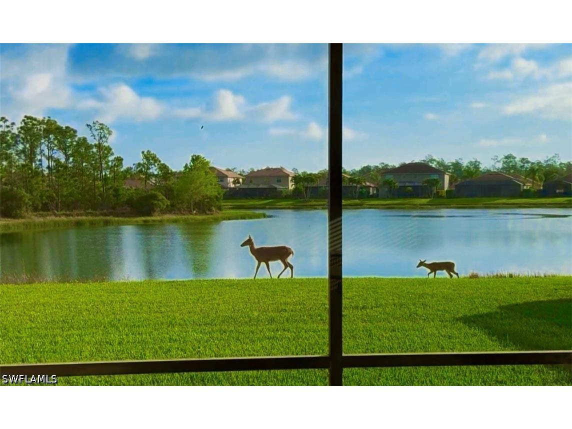 13606 Messino Court Estero FL 33928 226017211 image2