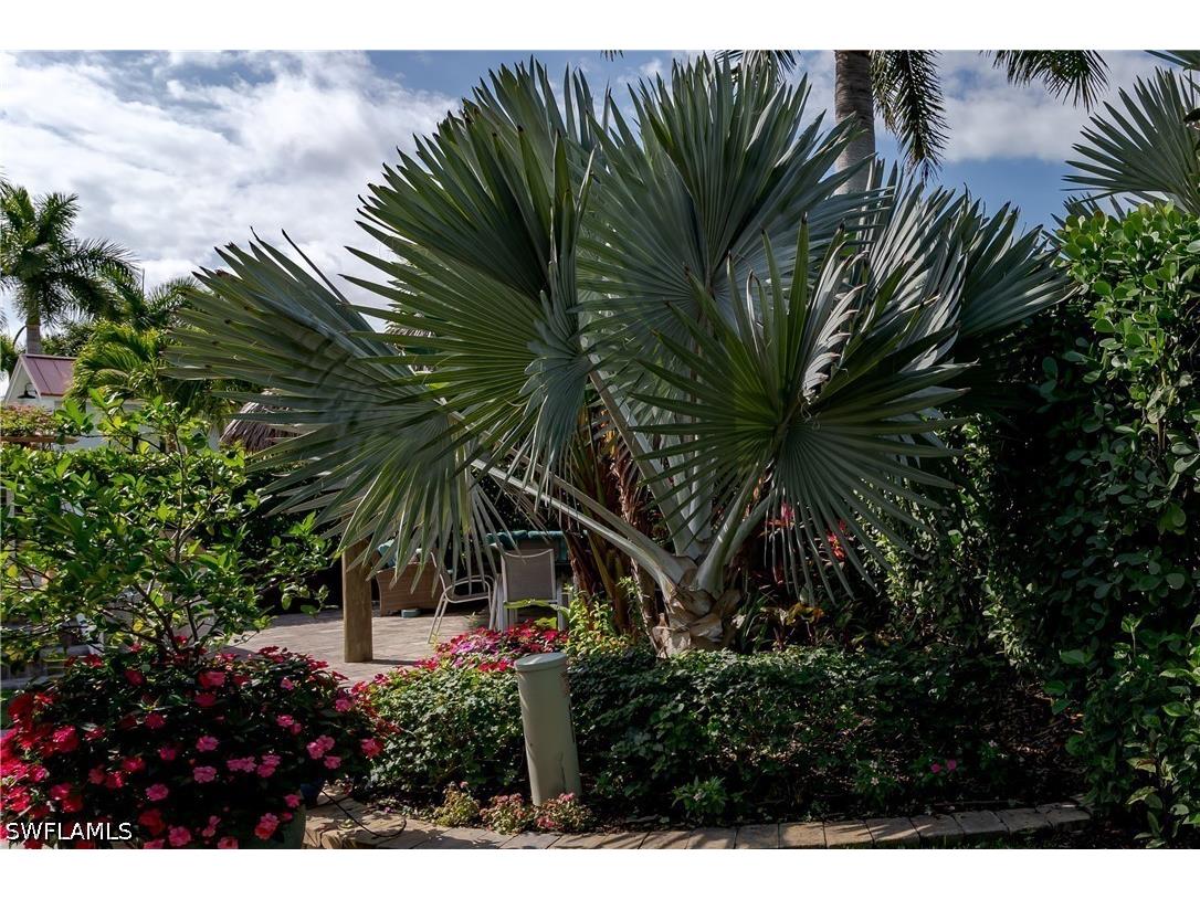 13625 Snapper Lane Naples FL 34114 226017612 image18