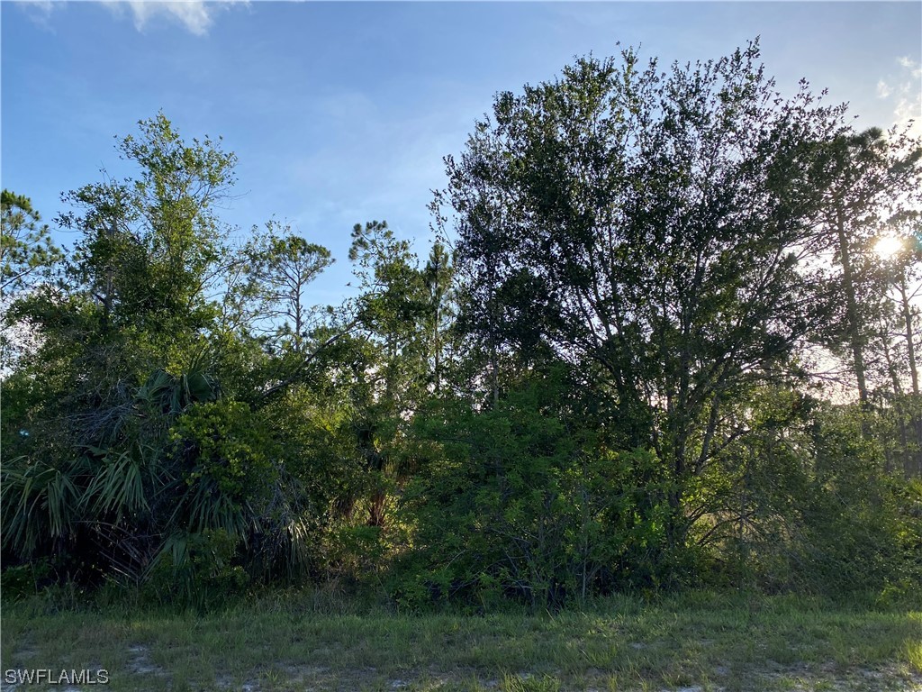 13635 Carousel Drive Punta Gorda FL 33955 223045720 image2