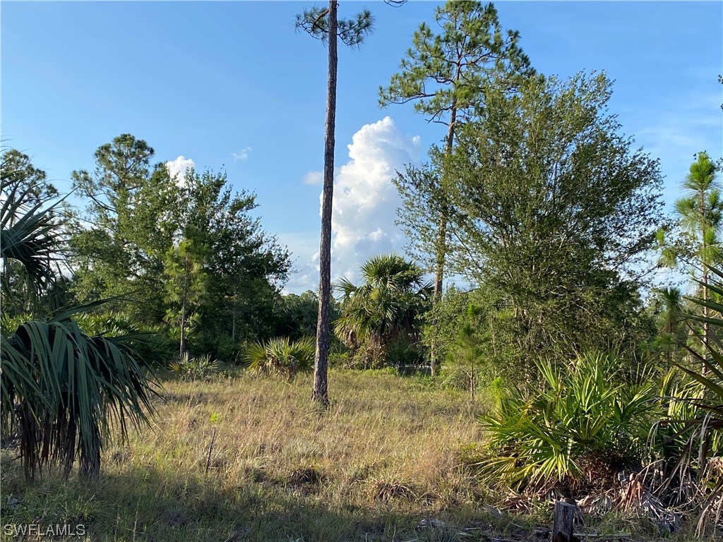 13635 Carousel Drive Punta Gorda FL 33955 223045720 image3