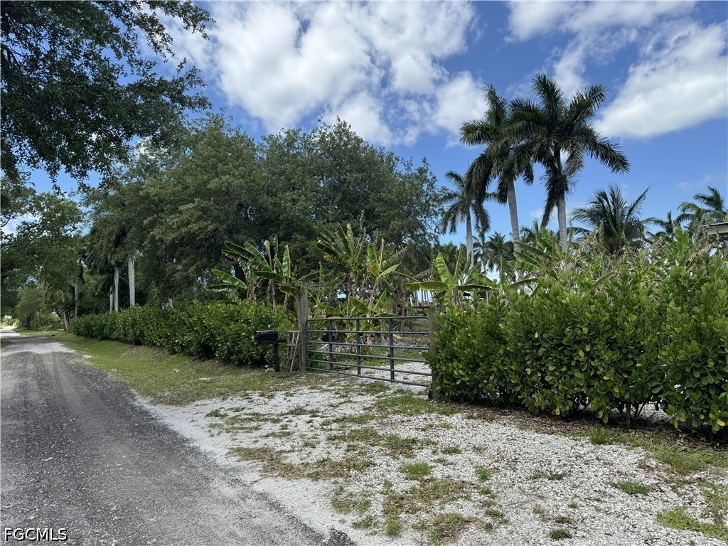 13641 Ficus Tree Lane Bokeelia FL 33922 2026015795 image1