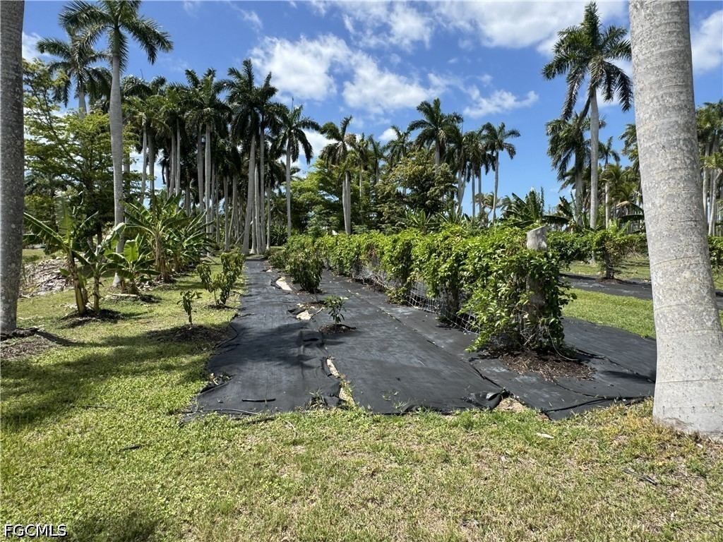 13641 Ficus Tree Lane Bokeelia FL 33922 2026015795 image10