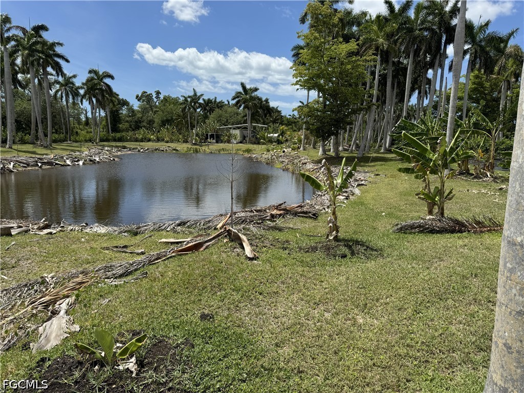 13641 Ficus Tree Lane Bokeelia FL 33922 2026015795 image11