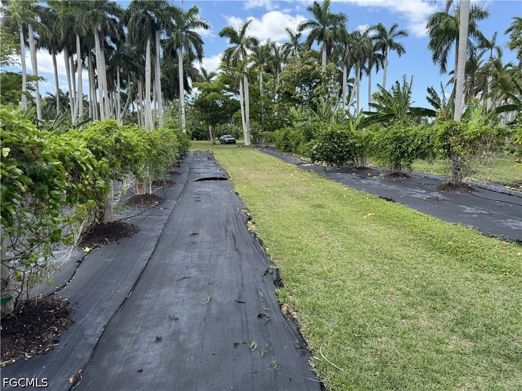 13641 Ficus Tree Lane Bokeelia FL 33922 2026015795 image14
