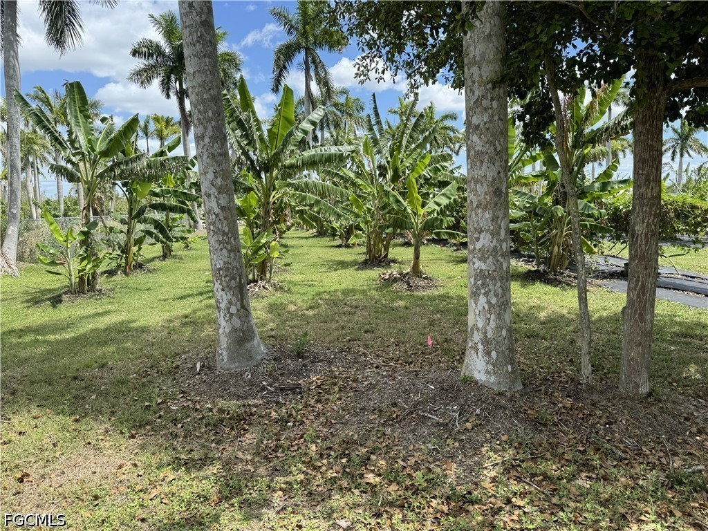 13641 Ficus Tree Lane Bokeelia FL 33922 2026015795 image17