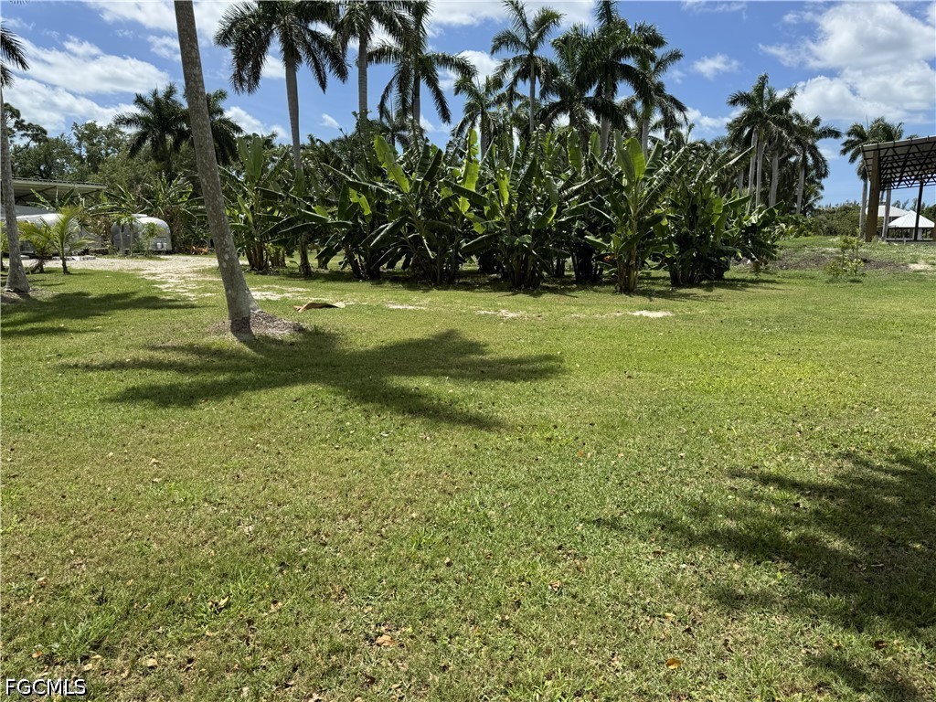 13641 Ficus Tree Lane Bokeelia FL 33922 2026015795 image19