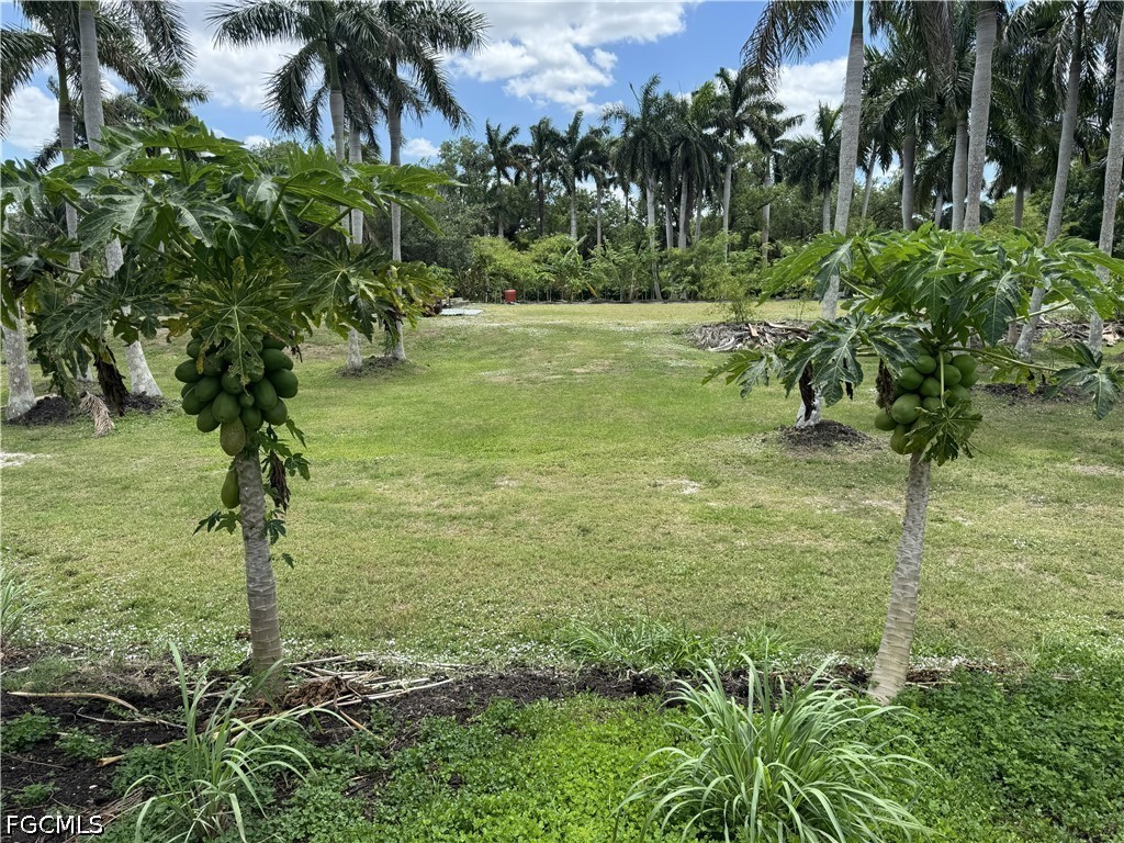 13641 Ficus Tree Lane Bokeelia FL 33922 2026015795 image23