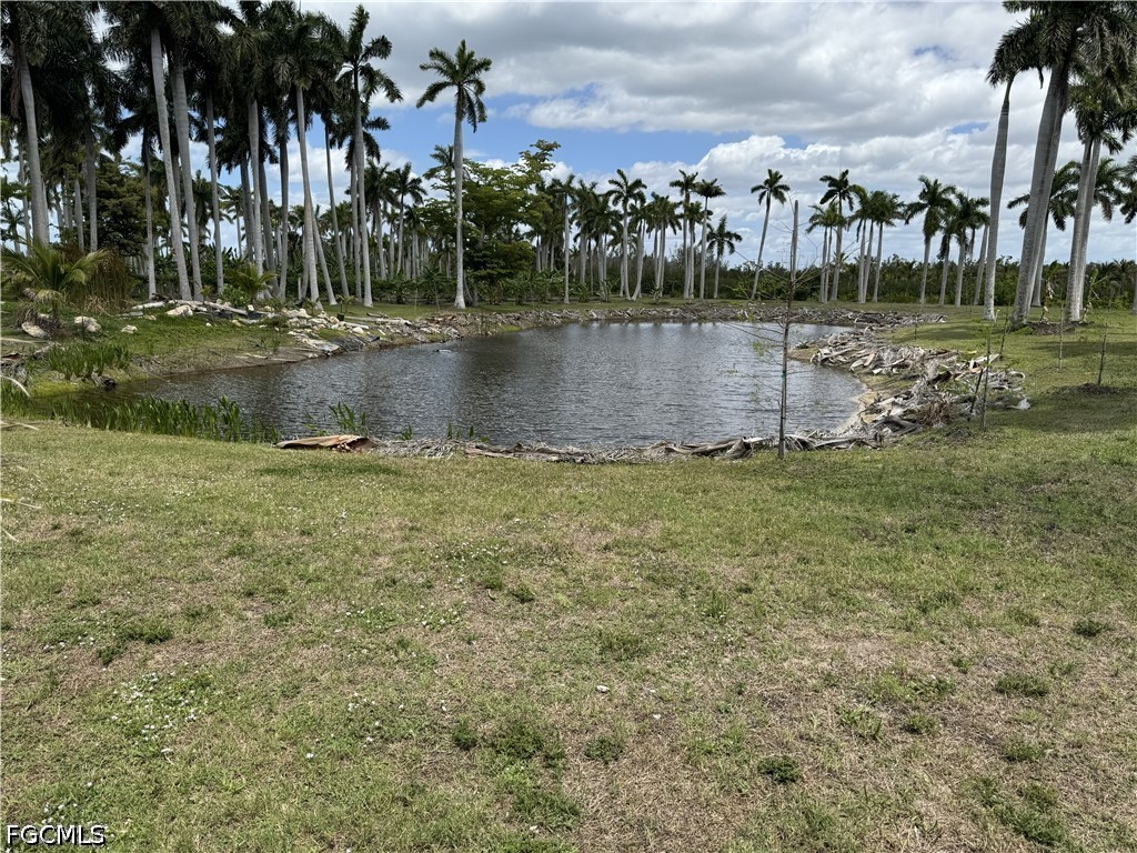 13641 Ficus Tree Lane Bokeelia FL 33922 2026015795 image32
