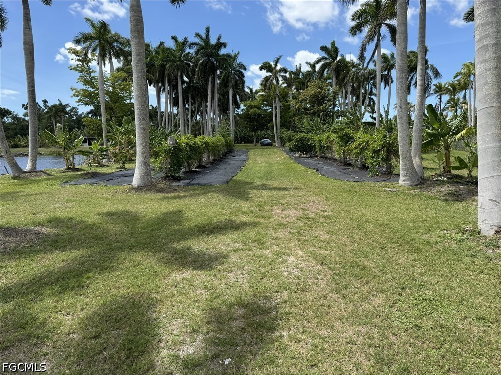 13641 Ficus Tree Lane Bokeelia FL 33922 2026015795 image9