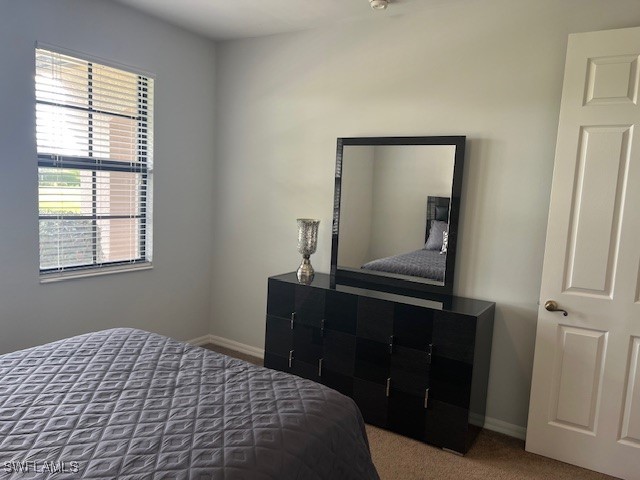 1367 E Artesia Drive Naples FL 34113 225077918 image11