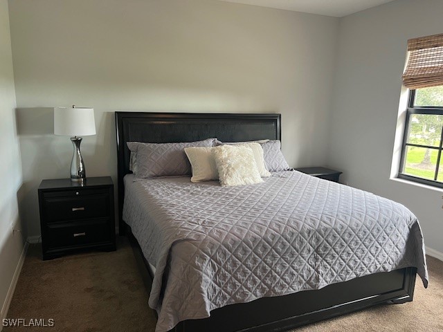 1367 E Artesia Drive Naples FL 34113 225077918 image16