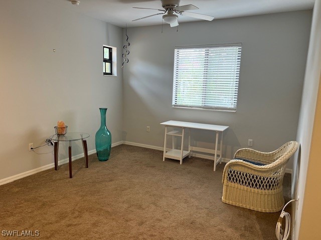 1367 E Artesia Drive Naples FL 34113 225077918 image20