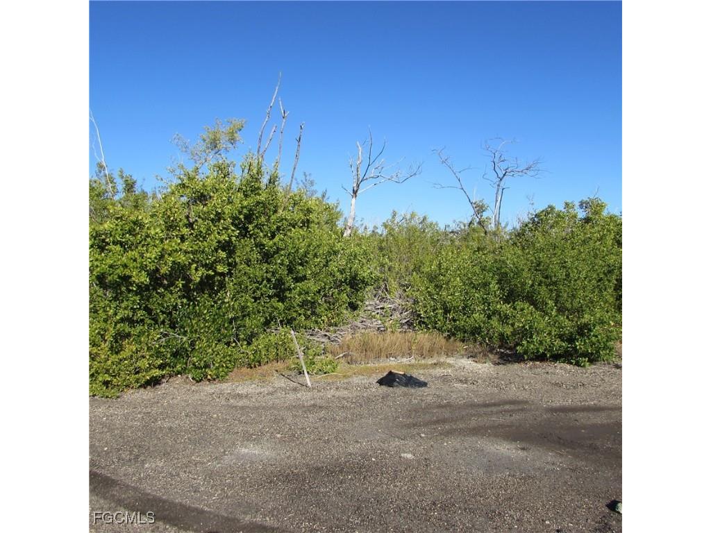 13686 Ficus Tree Lane Bokeelia FL 33922 2026001030 image2