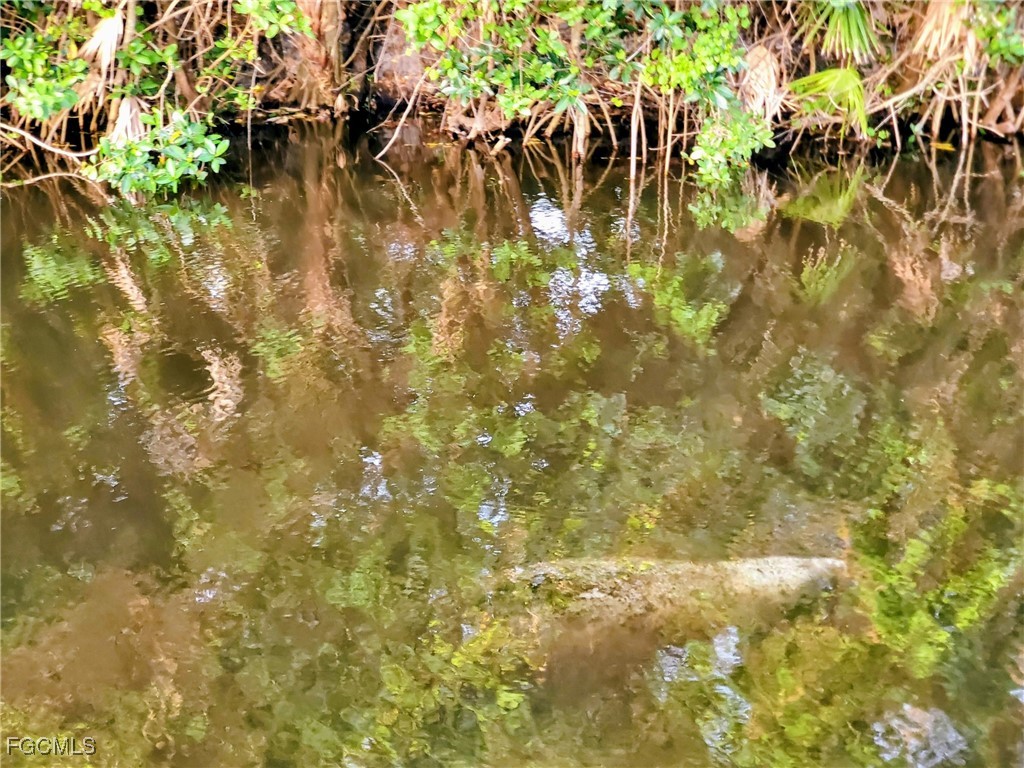 1370 Harbor View Drive North Fort Myers FL 33917 2025015603 image31