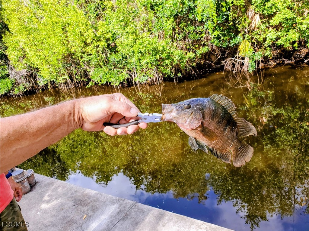 1370 Harbor View Drive North Fort Myers FL 33917 2025015603 image32