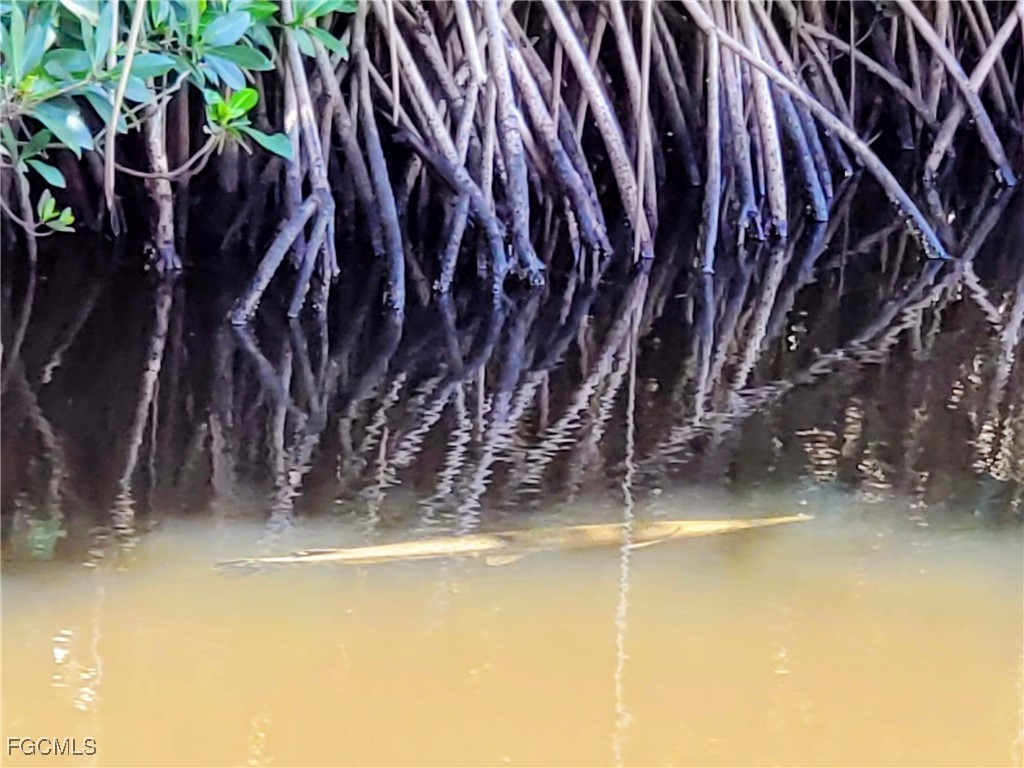 1370 Harbor View Drive North Fort Myers FL 33917 2025015603 image33