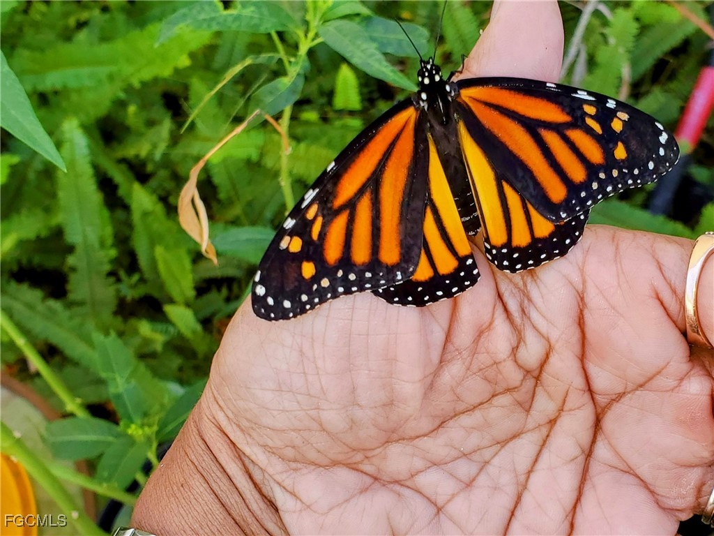 1370 Harbor View Drive North Fort Myers FL 33917 2025015603 image34