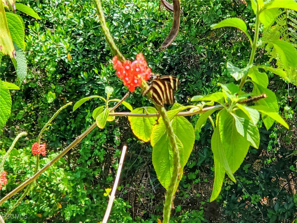 1370 Harbor View Drive North Fort Myers FL 33917 2025015603 image35