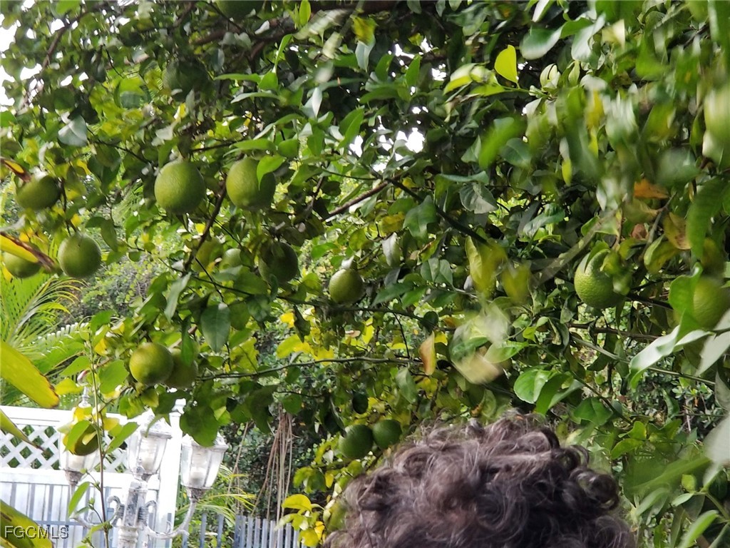 1370 Harbor View Drive North Fort Myers FL 33917 2025015603 image36