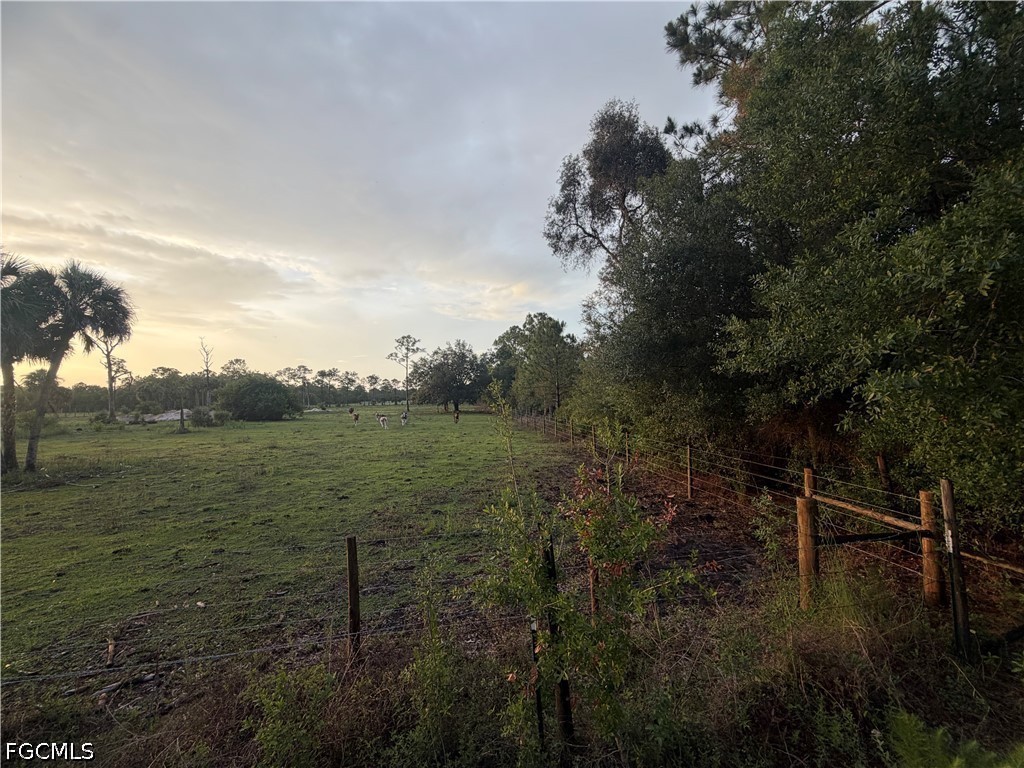 13707 Navel Avenue Clewiston FL 33440 2026023830 image4