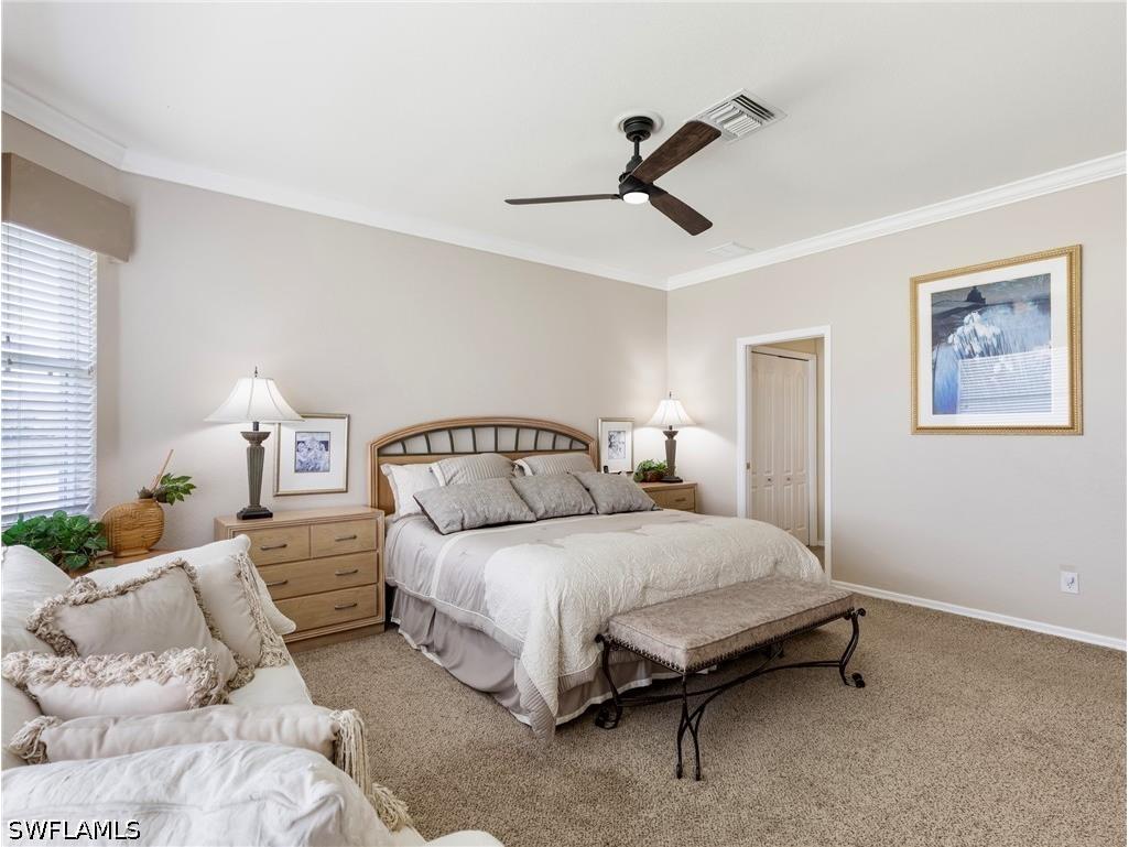 13711 Martone Court Estero FL 33928 226019690 image24