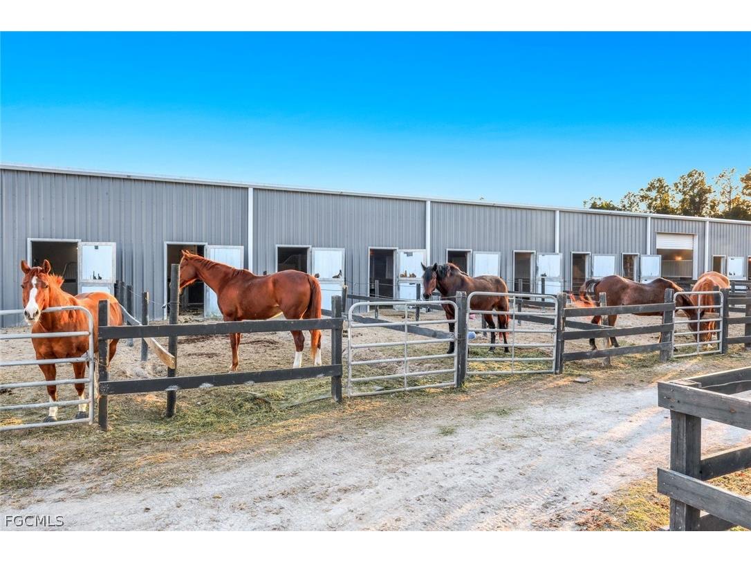 13731 E Terry Street Bonita Springs FL 34135 2026005850 image46