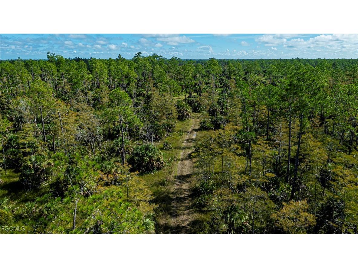 1375 54th Avenue SE Naples FL 34117 2025013747 image16